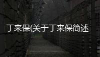 丁來保(關于丁來保簡述)
