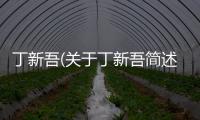 丁新吾(關(guān)于丁新吾簡述)