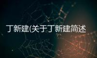 丁新建(關于丁新建簡述)