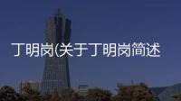 丁明崗(關于丁明崗簡述)