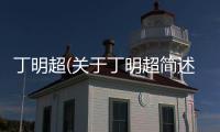 丁明超(關(guān)于丁明超簡(jiǎn)述)