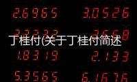 丁桂付(關于丁桂付簡述)