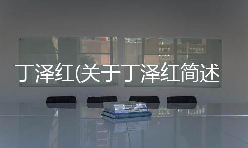 丁澤紅(關于丁澤紅簡述)
