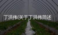 丁洪偉(關于丁洪偉簡述)