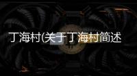 丁海村(關(guān)于丁海村簡述)