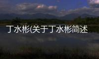 丁水彬(關于丁水彬簡述)