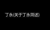 丁永(關于丁永簡述)