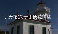 丁氏花(關于丁氏花簡述)