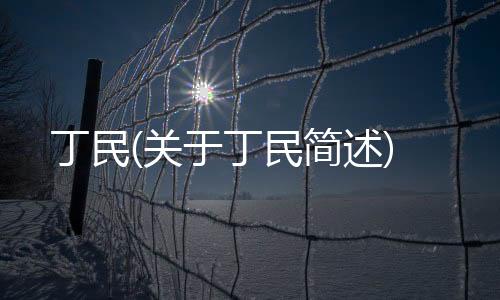 丁民(關于丁民簡述)