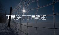 丁民(關于丁民簡述)