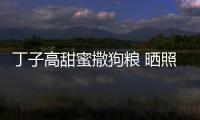 丁子高甜蜜撒狗糧 曬照慶祝與楊千嬅結婚十周年