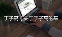 丁子高（關于丁子高的基本情況說明介紹）