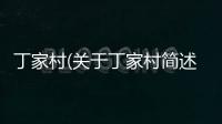 丁家村(關于丁家村簡述)