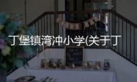 丁堡鎮灣沖小學(關于丁堡鎮灣沖小學簡述)