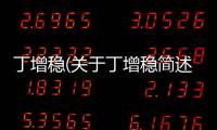 丁增穩(wěn)(關(guān)于丁增穩(wěn)簡(jiǎn)述)