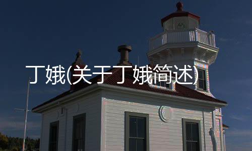 丁娥(關于丁娥簡述)