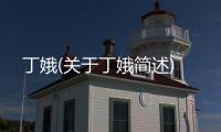 丁娥(關于丁娥簡述)