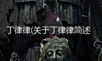 丁律律(關(guān)于丁律律簡(jiǎn)述)