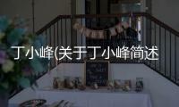 丁小峰(關于丁小峰簡述)