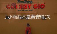 丁小雨我不是黃安琪(關于丁小雨我不是黃安琪簡述)