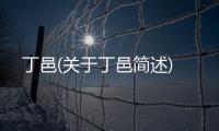 丁邑(關于丁邑簡述)