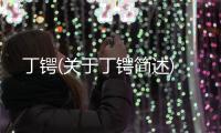 丁鍔(關于丁鍔簡述)