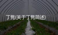 丁雋(關于丁雋簡述)