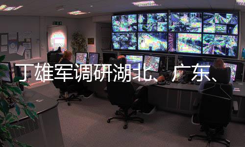 丁雄軍調研湖北、廣東、海南市場“一盤棋”工作