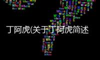 丁阿虎(關于丁阿虎簡述)