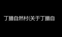 丁臘自然村(關于丁臘自然村簡述)
