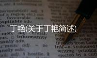 丁艷(關于丁艷簡述)