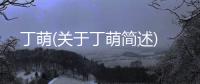 丁萌(關于丁萌簡述)