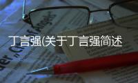 丁言強(關于丁言強簡述)
