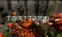 丁邁(關于丁邁簡述)