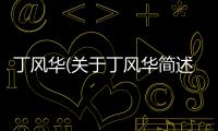 丁風華(關于丁風華簡述)