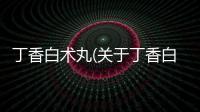 丁香白術丸(關于丁香白術丸簡述)
