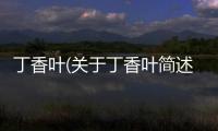 丁香葉(關于丁香葉簡述)