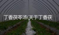 丁香茯苓湯(關(guān)于丁香茯苓湯簡述)