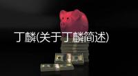 丁麟(關(guān)于丁麟簡述)