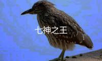 七神之王