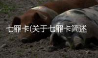 七罪卡(關于七罪卡簡述)