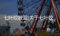 七葉絞股藍(關于七葉絞股藍簡述)