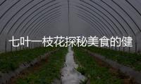 七葉一枝花探秘美食的健康密碼