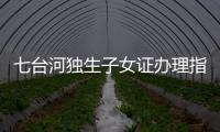 七臺河獨生子女證辦理指南(關于七臺河獨生子女證辦理指南簡述)