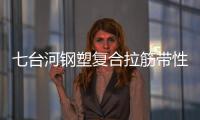 七臺河鋼塑復(fù)合拉筋帶性能說明