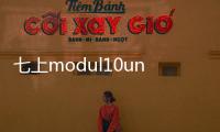 七上modul10unit1知識點講解(關(guān)于七上modul10unit1知識點講解簡述)