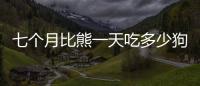 七個月比熊一天吃多少狗糧(七個月比熊一頓吃多少狗糧)