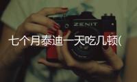 七個月泰迪一天吃幾頓(五個月的泰迪狗狗一天吃幾頓)
