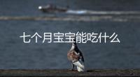 七個月寶寶能吃什么