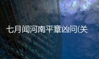 七月聞河南平章兇問(關于七月聞河南平章兇問簡述)
